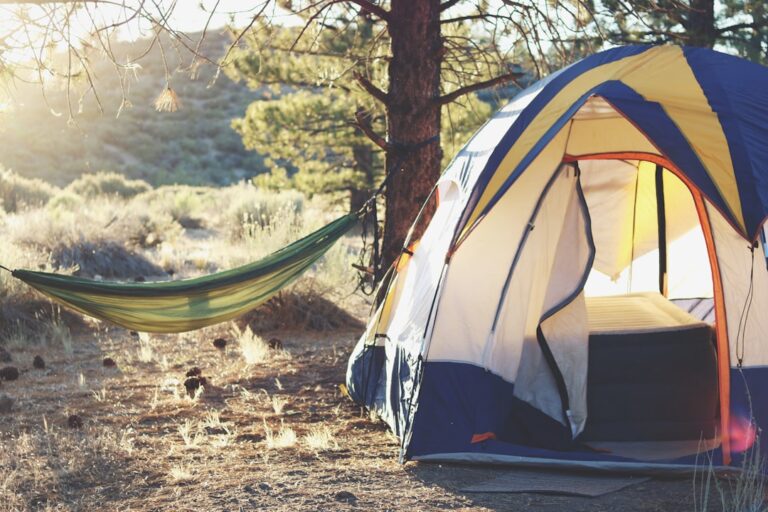 How to Choose the Best Tent for Your Camping Needs