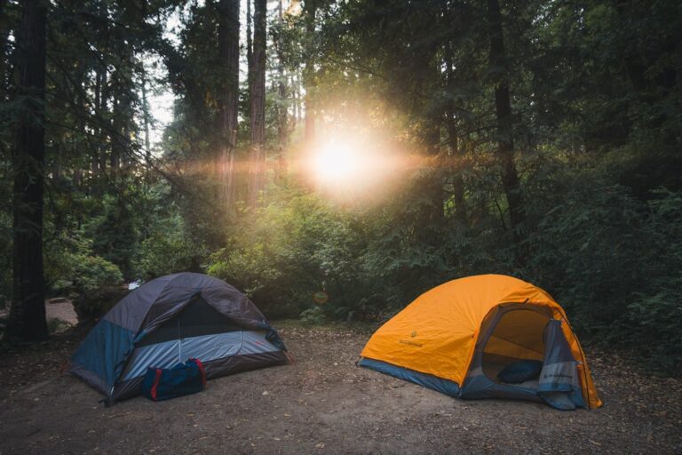 Explore Nature: Best Camping Accessories You Can’t Live Without